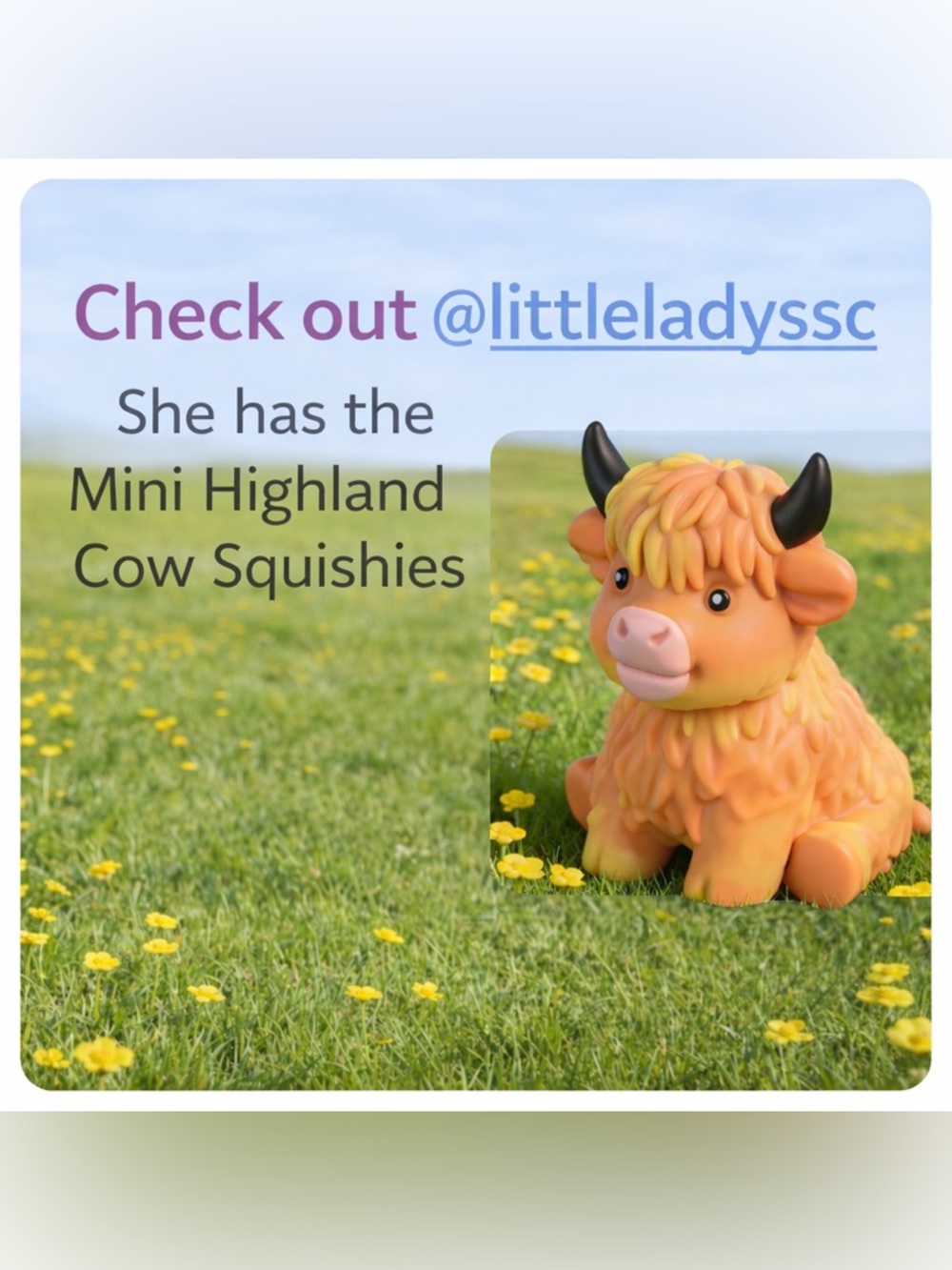 Rare Mini Highland Cow Squishies available while supplies last @littleladyssc